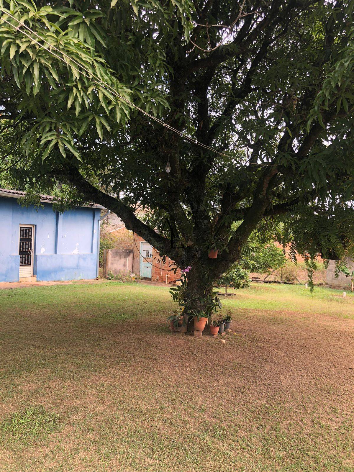 Chácara à venda com 4 quartos, 140m² - Foto 14