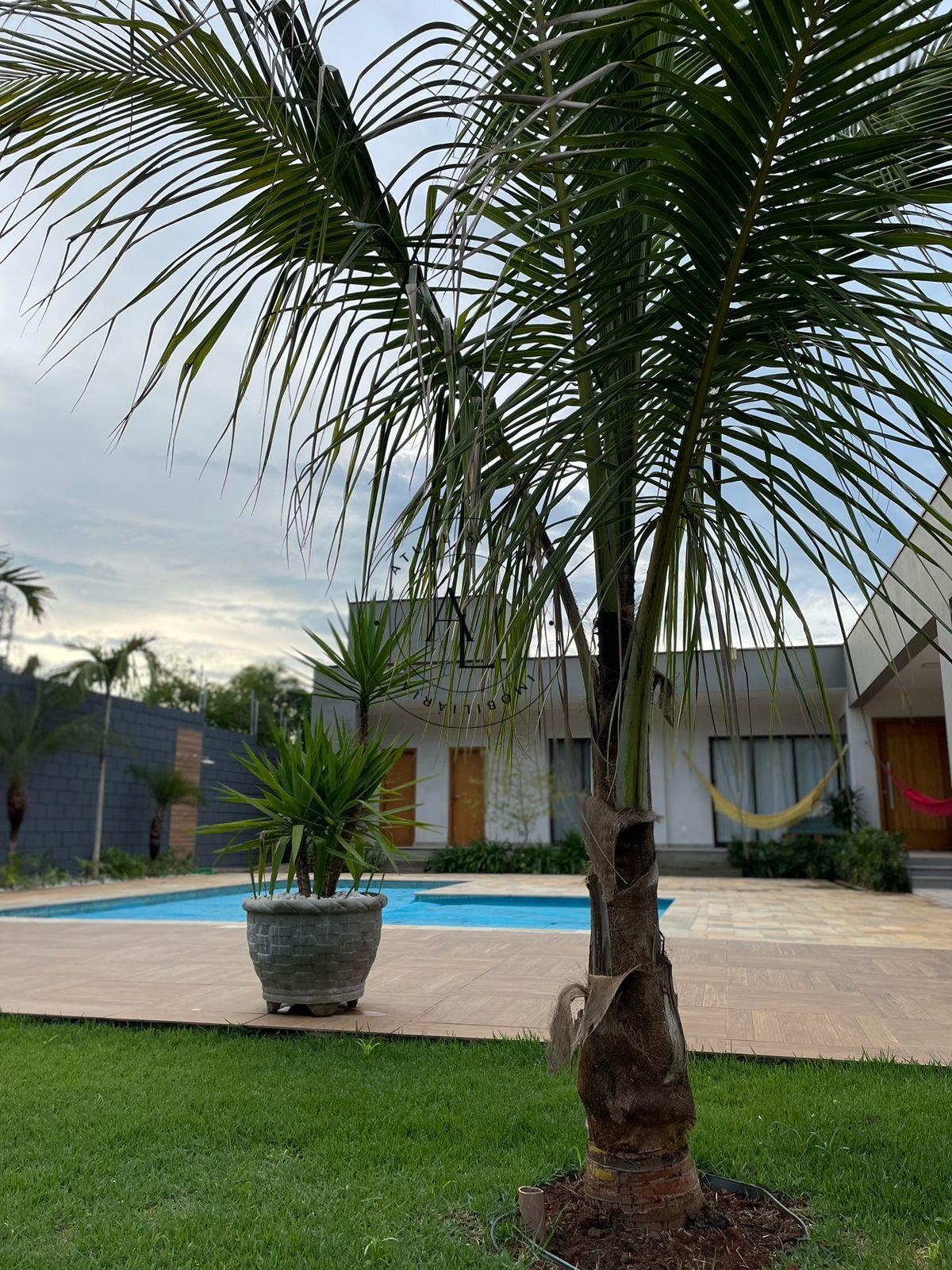 Chácara dos Sonhos: Rancho com Piscina, Suíte, Lavabo, Lavanderia e Área Gourmet em 1000 m² - Atual & Lima Imoveis