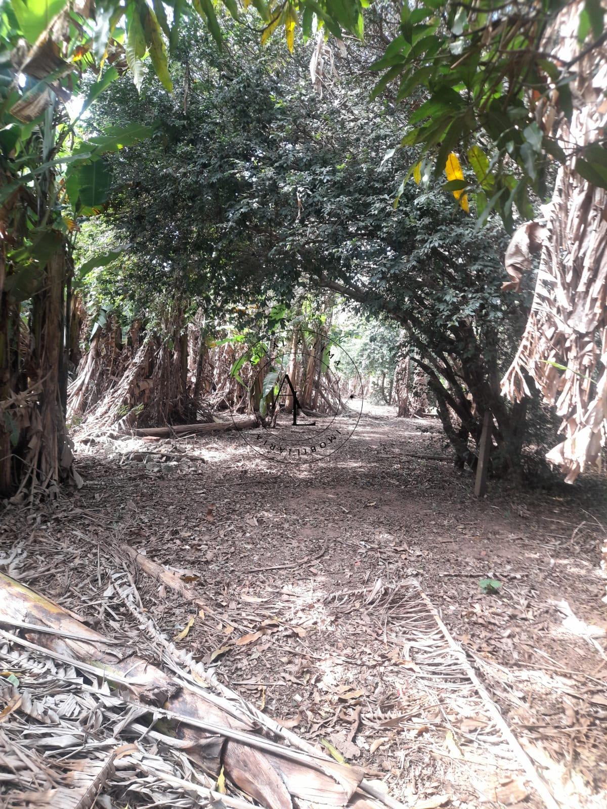 Sua Chácara dos Sonhos em Campinas: Espaço, Conforto e Natureza em Harmonia! - Atual & Lima Imoveis