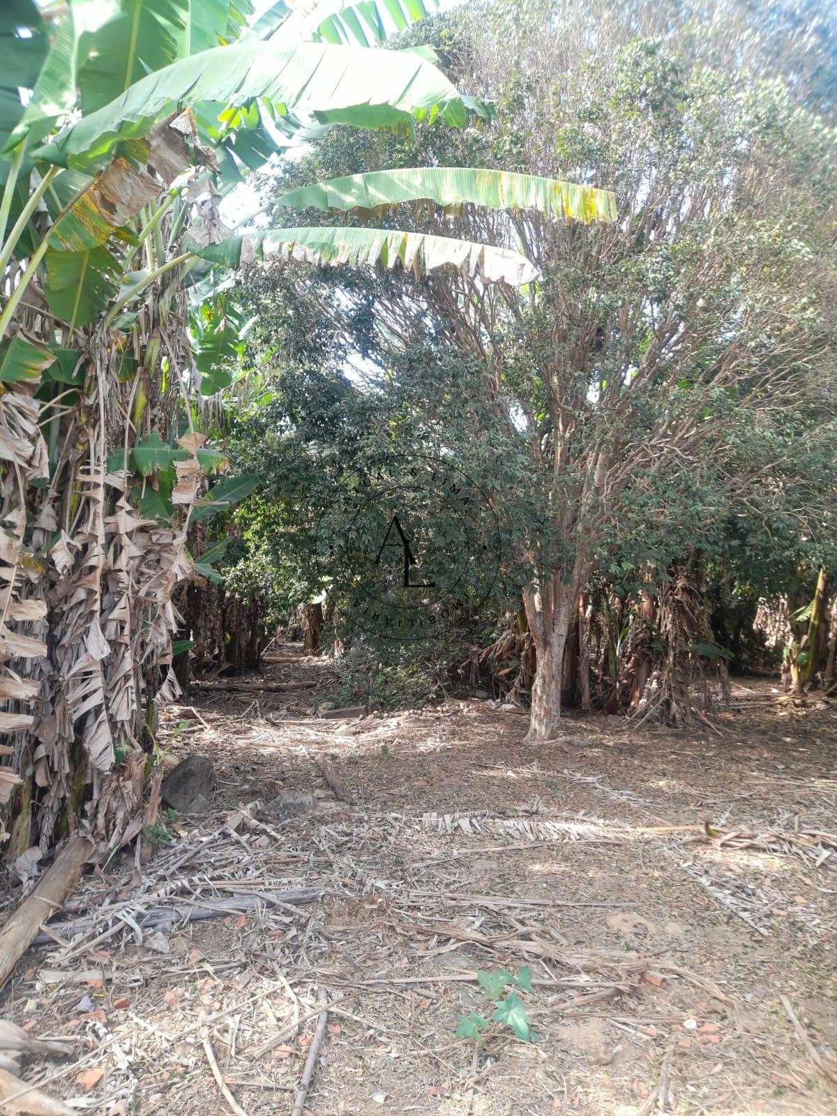 Sua Chácara dos Sonhos em Campinas: Espaço, Conforto e Natureza em Harmonia! - Atual & Lima Imoveis